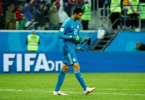 محمد الشناوي