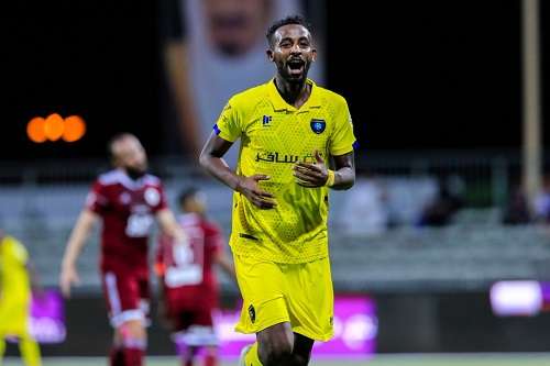 ربيع سفياني