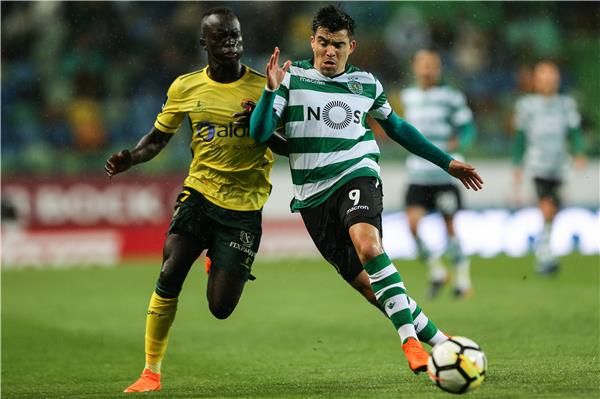 ماركوس أكونيا 