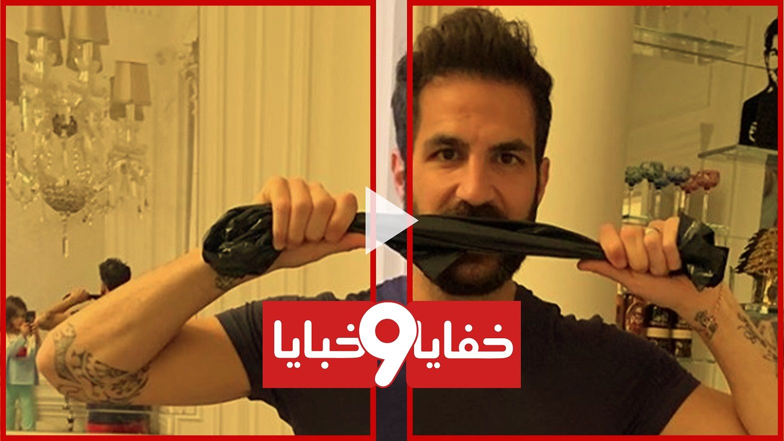 سيسك فابريجاس