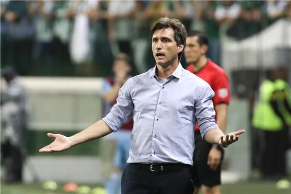  باروس سكوليتو