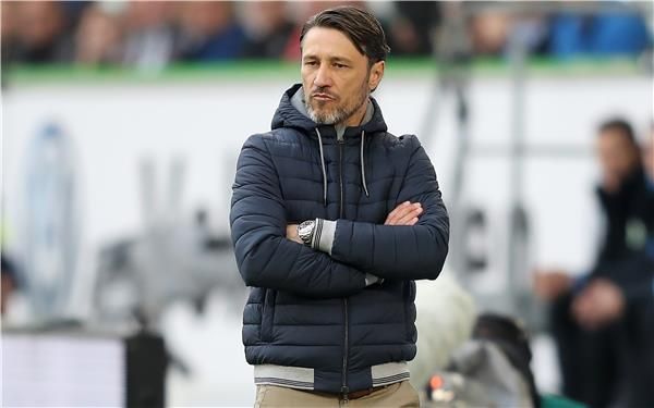 نيكو كوفاتش