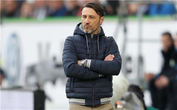 نيكو كوفاتش