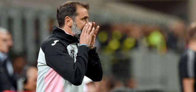 فابيو فيفياني