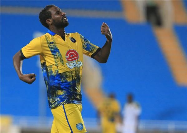 ربيع سفياني