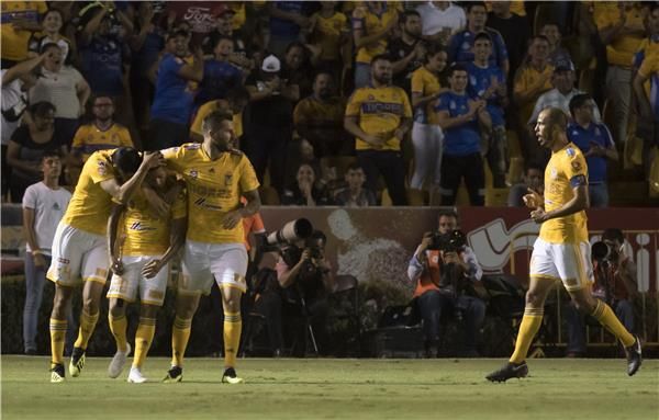 لاعبو تيجريس 