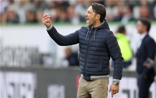 نيكو كوفاتش