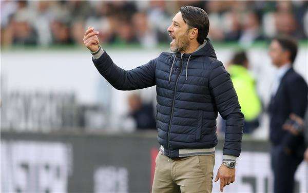 نيكو كوفاتش