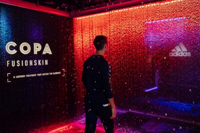 45801773_542721179525875_7934846848366280704_n