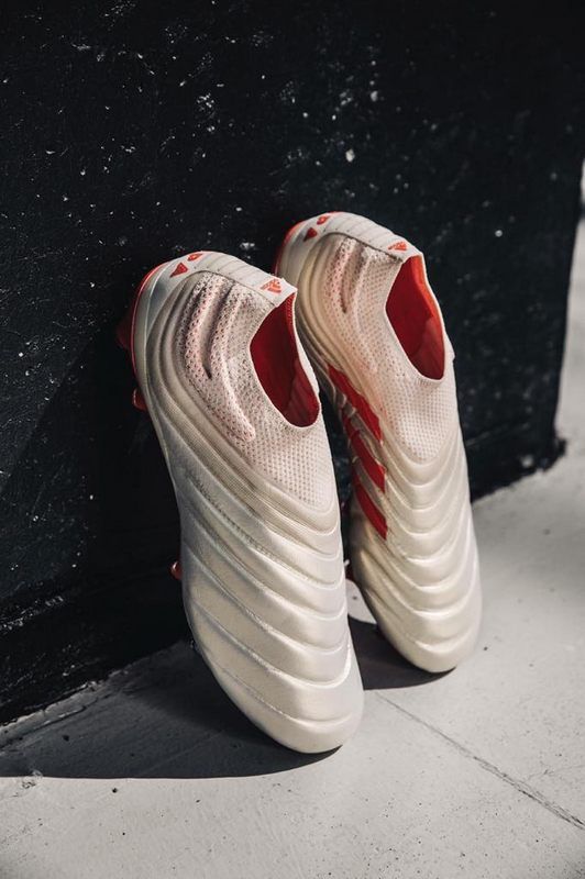 45931638_313743142686217_6167890860340936704_n