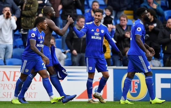 فرحة لاعبي كارديف