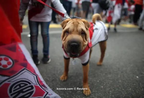 ?i=reuters%2f2018-11-11%2f2018-11-11t155310z_1603568960_rc1fab0bb100_rtrmadp_3_soccer-libertadores-boj-riv_reuters