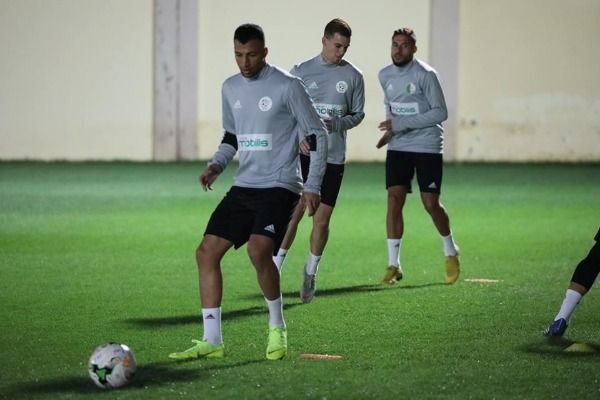 جانب من تدريبات الجزائر