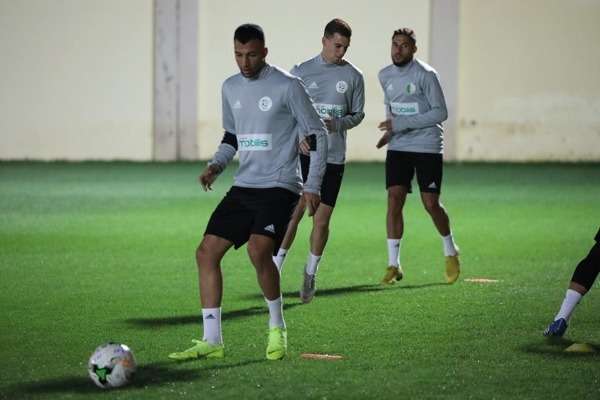 جانب من تدريبات الجزائر