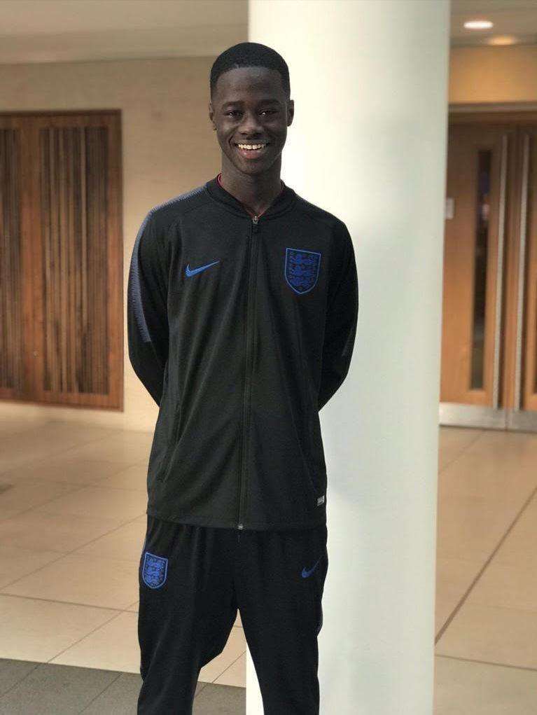 داركو جيابي