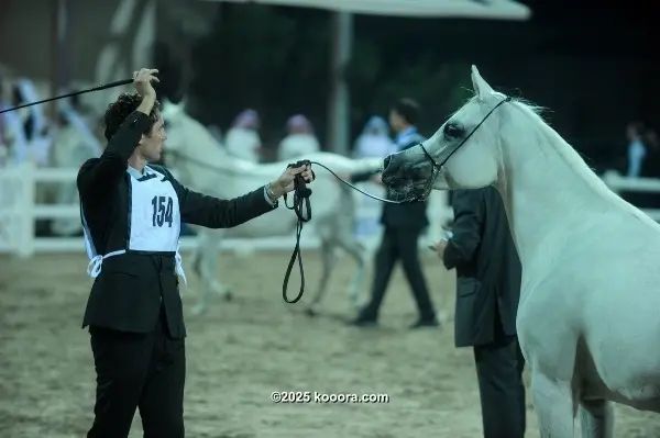 ?i=corr%2f85%2fkoo_85690