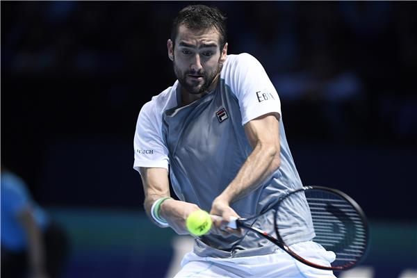 مارين شيليتش