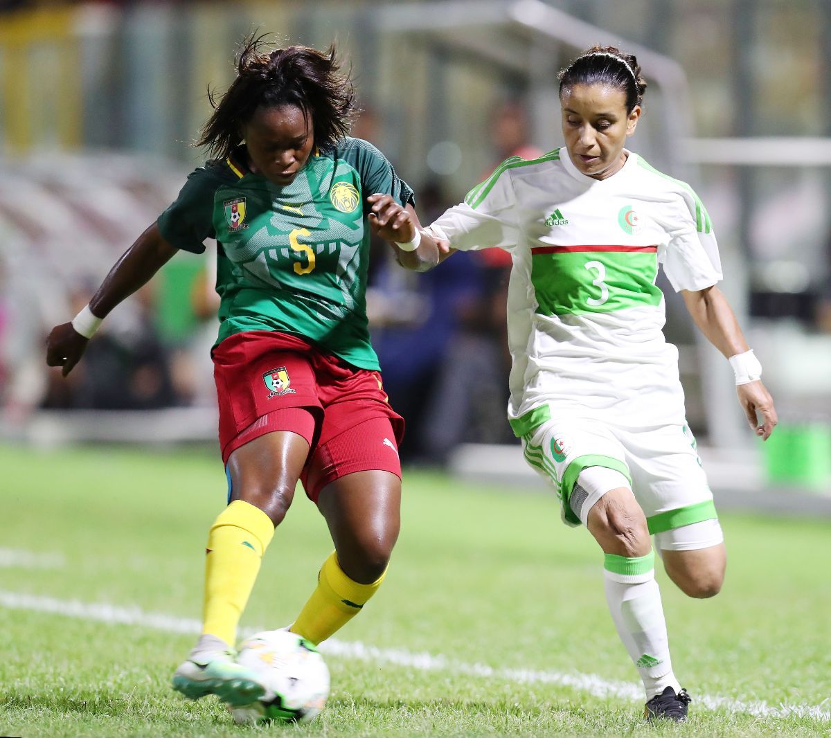 من مباراة الجزائر والكاميرون