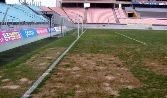 أرضية أستاد جيونجو الدولي أصبح في حالة يرثى لها 