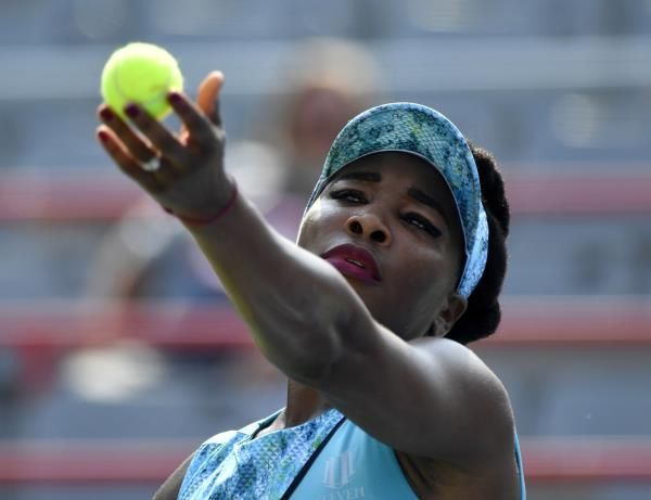 فينوس ويليامز