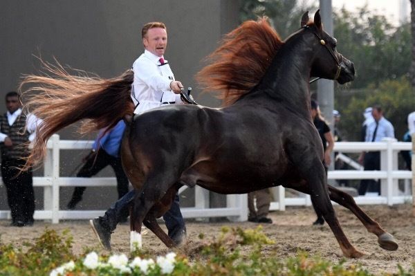 جانب من الحفل