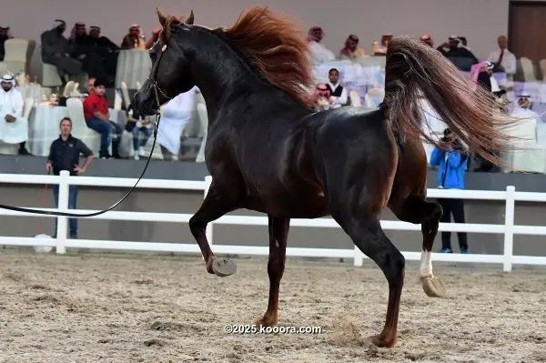 ?i=corr%2f89%2fkoo_89081