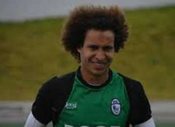  توفيق الصفصافي