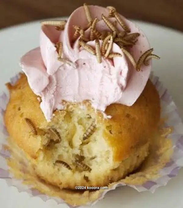 ?i=corr%2f95%2fkoo_95272