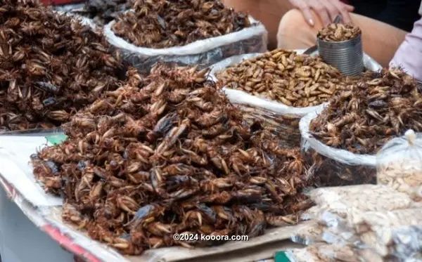 ?i=corr%2f95%2fkoo_95273