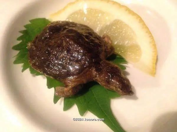 ?i=corr%2f95%2fkoo_95277