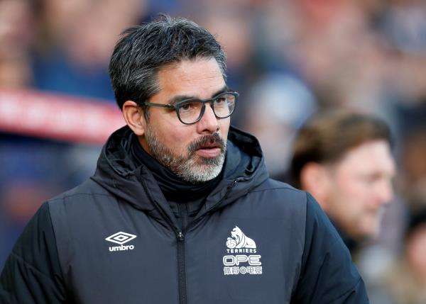 ديفيد فاجنر