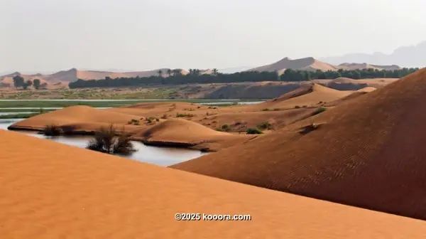 ?i=corr%2f95%2fkoo_95884