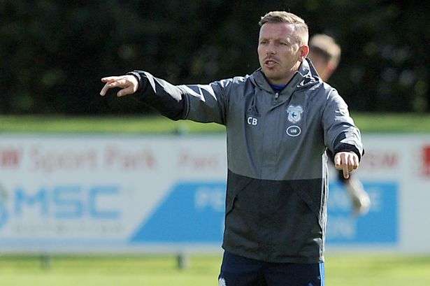 كريج بيلامي