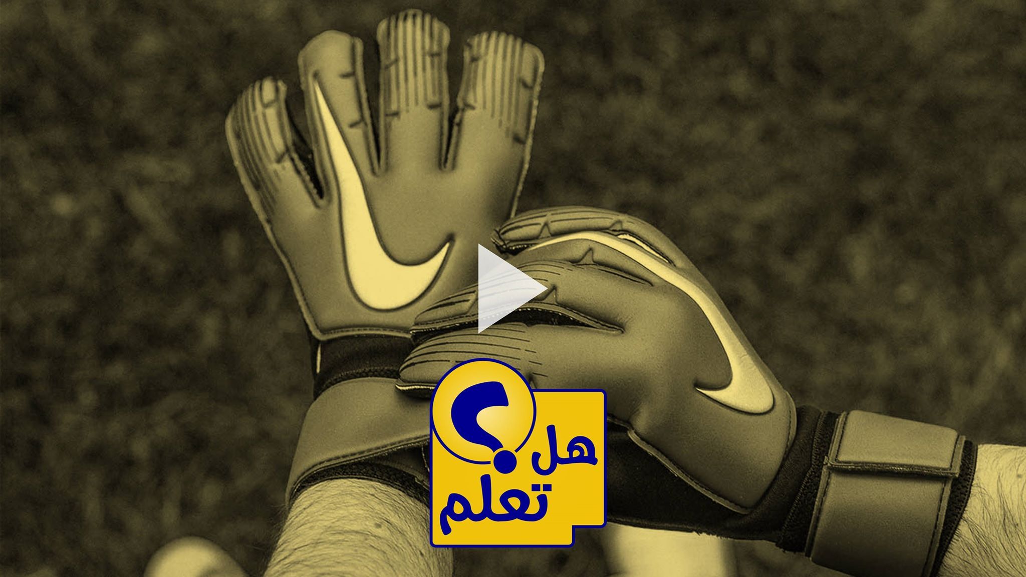 49515808_2777794439113298_6854318164289781760_n