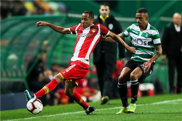 نيلدو بترولينا 