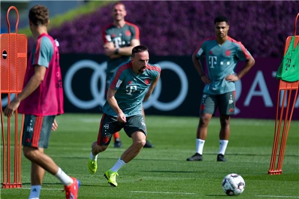 فرانك ريبيري