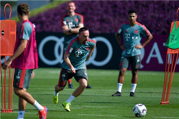 فرانك ريبيري