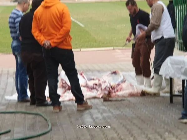 ?i=corr%2f99%2fkoo_99304