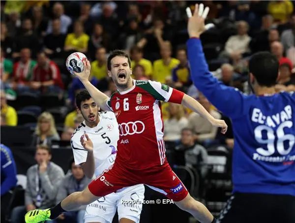 ?i=epa%2fhandball%2f2019-01%2f2019-01-16-07290517_epa