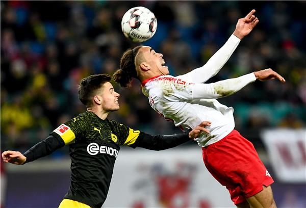 جوليان فيجل 