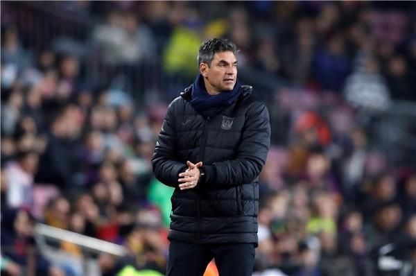 ماوريسيو بيليجرينو