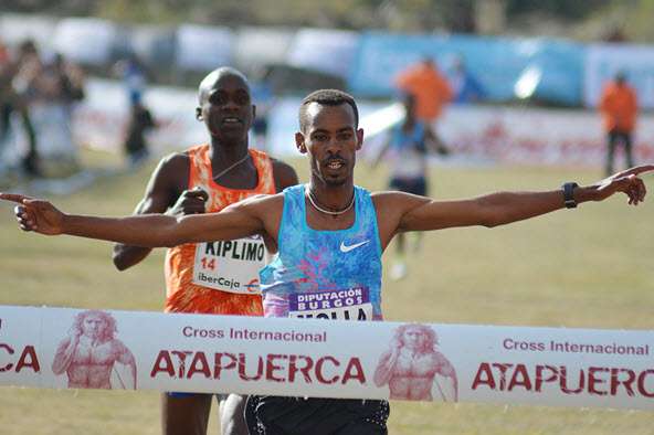 جيتانيه مولا