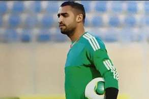 عامر محمد عامر