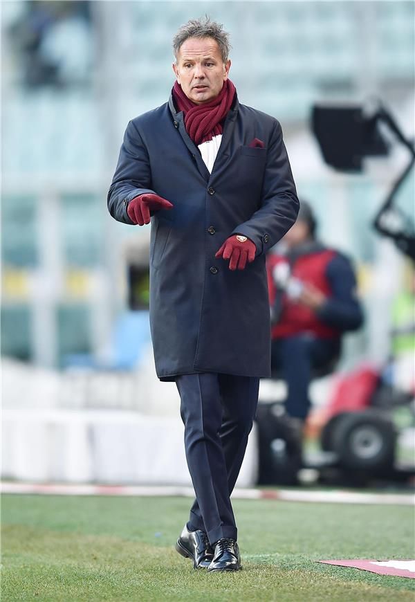 سينيسا ميهالوفيتش 