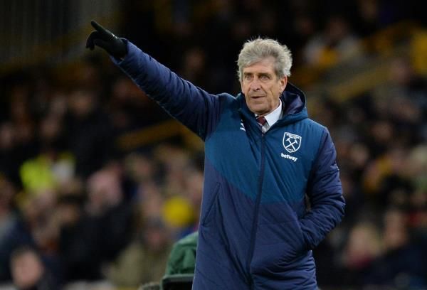 مانويل بيليجريني