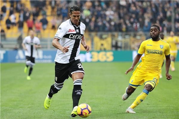 برونو ألفيس