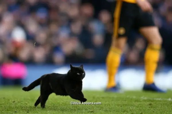 ?i=corr%2f103%2fkoo_103708