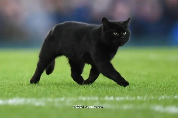 ?i=corr%2f103%2fkoo_103709