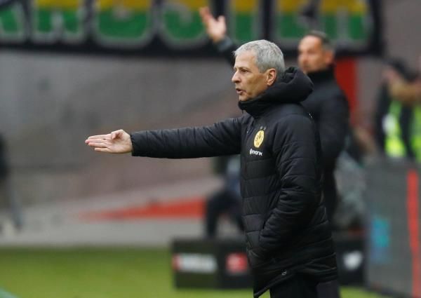 لوسيان فافر