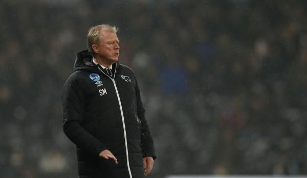 ستيف مكلارين